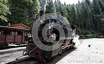 Steam train on Vaser Valley Stock Photo